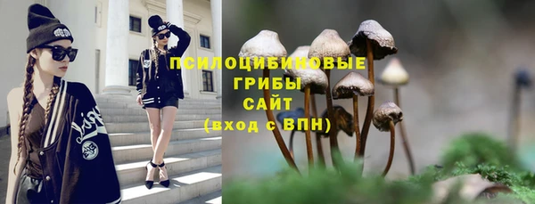 ПСИЛОЦИБИНОВЫЕ ГРИБЫ Алзамай