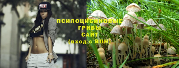 ПСИЛОЦИБИНОВЫЕ ГРИБЫ Алзамай