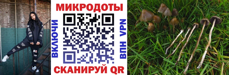 ОМГ ОМГ ссылки  Обоянь  Псилоцибиновые грибы Magic Shrooms 
